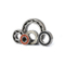 Nachi Ball Bearing 60 Series 6007 6009 6011 6013 6015 para motocicleta / Auto / Generadores